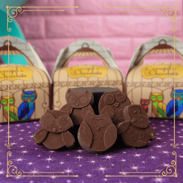 Caixa de chocolate: Corujal de chocolate! - Image 2